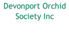 Devonport Orchid Society Inc
